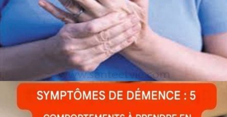 1f81aea36b4f043ad7 copy 758x416 6 1 taha 2 taha taha 2 185 1 2