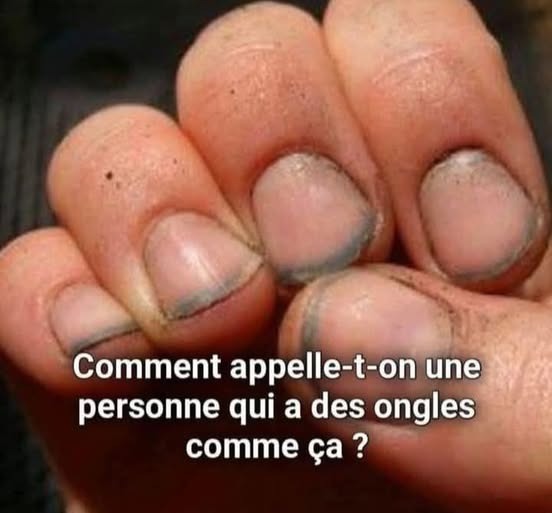 28c1003b f75a 4c66 b87d 8f6ec8b3cc12