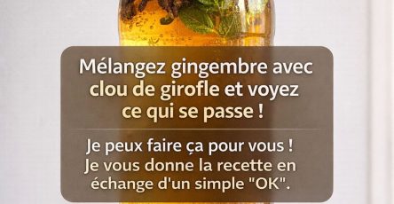 640720177 122126369187048423 2757089601265680938 n