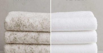 504806319 1141439378027441 8578998846598219221 n 1 800x840 1