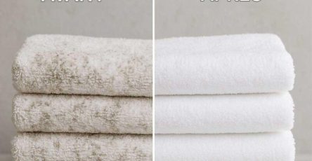 504806319 1141439378027441 8578998846598219221 n 1 800x840 1