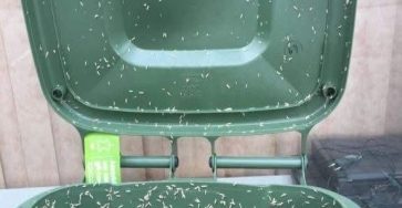 514408276 122117072678929757 4698292085854602904 n