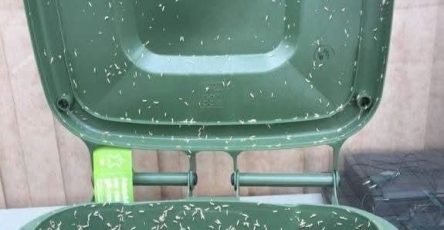 514408276 122117072678929757 4698292085854602904 n