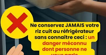 546365886 2542494376113928 8561909100330267214 n