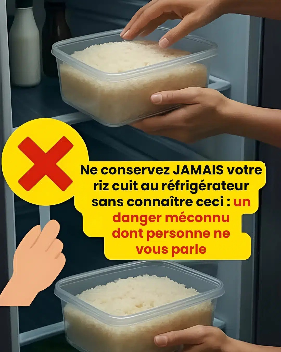 546365886 2542494376113928 8561909100330267214 n