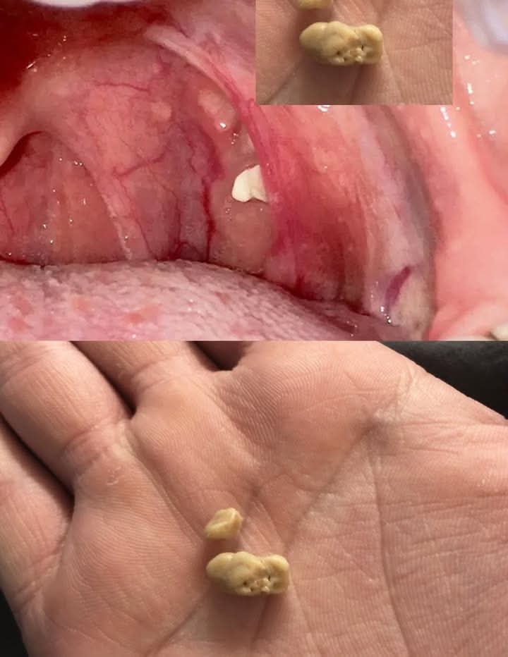 557910280 1870468017184582 591719138901169202 n