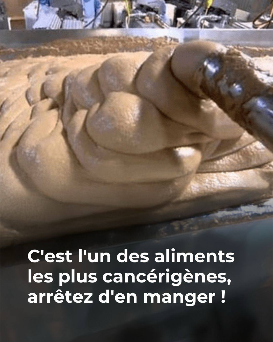 597372131 2649285862093639 6317290267632543600 n (1)