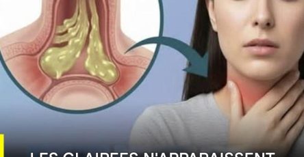 613359953 1439946937524001 1088883932719249931 n