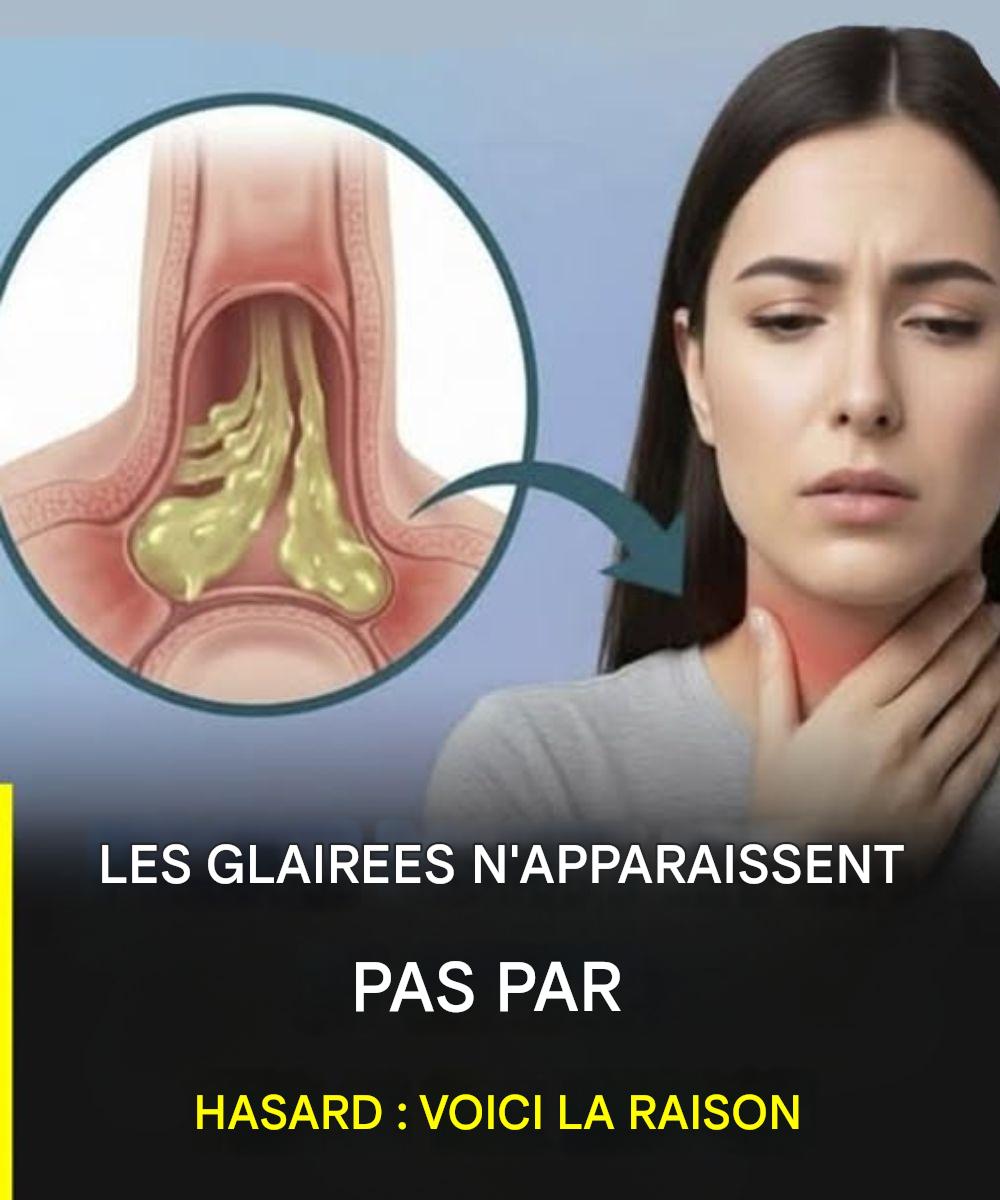 613359953 1439946937524001 1088883932719249931 n