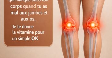 637915942 122113586865176057 5876244392092220116 n