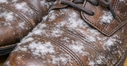 645477228 1454669552955209 8736985741308555123 n