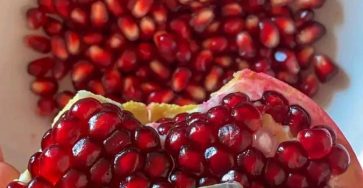 90b9af19 4e96 4c7d 9856 386e0274befe