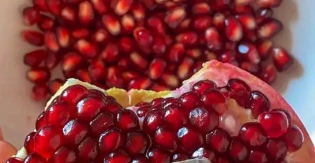 90b9af19 4e96 4c7d 9856 386e0274befe