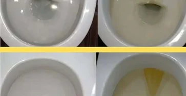 Une simple pincee de cette poudre suffit pour que les toilettes brillent comme neuves je les nettoie de cette facon depuis.jpg