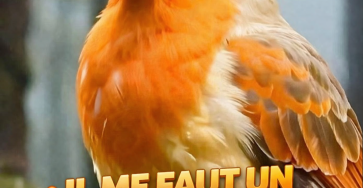 40505613 C973 4B11 9517 4E610FE8F417