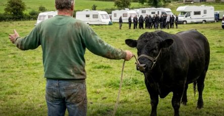 673564406 122099986718734397 2824064334211566441 n (1)