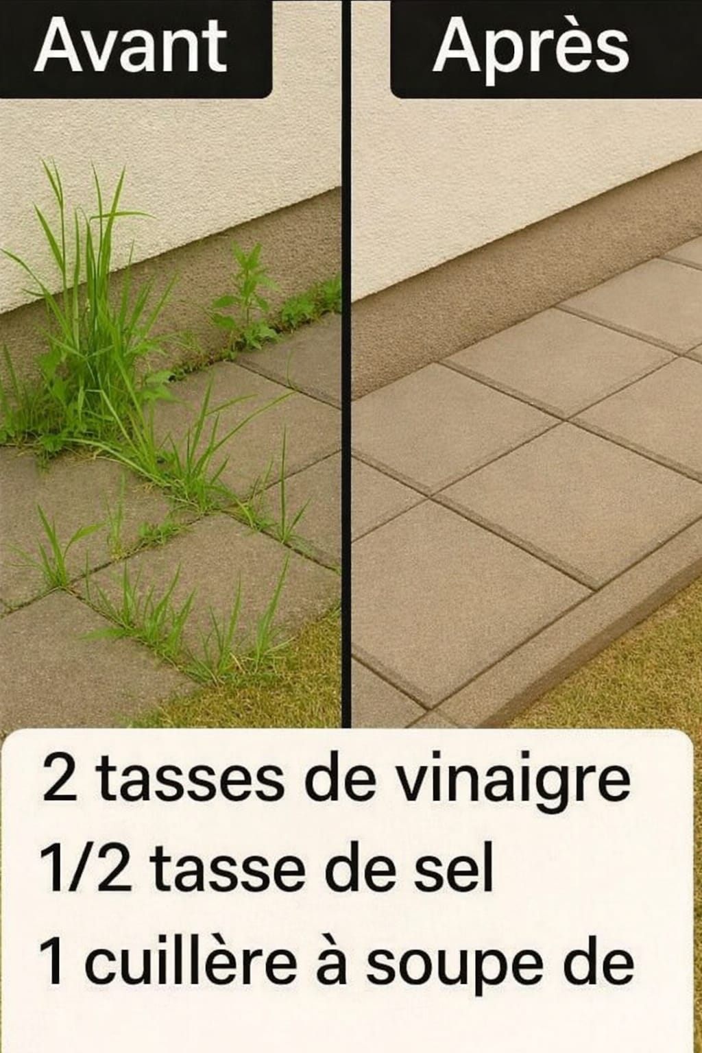 677132670 1869847940400172 5605737008480522094 n