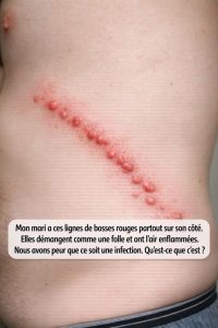 WhatsApp Image 2026 04 21 at 7.22.17 PM