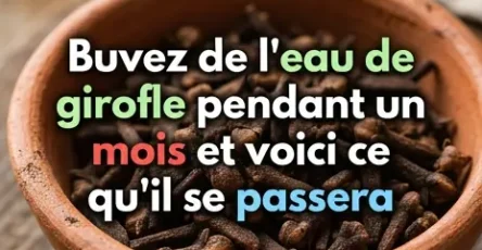 Buvez de leau de clou de girofle pendant un mois et decouvrez 5 bienfaits 1.jpg