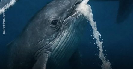 Cc172de9 c072 4cfa 80d0 8b2e8115da1d 1233x1536