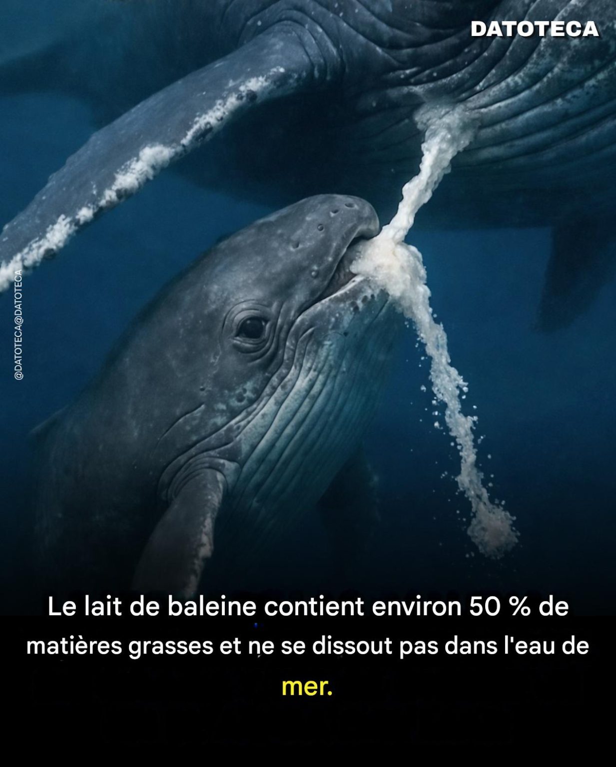 Cc172de9 c072 4cfa 80d0 8b2e8115da1d 1233x1536