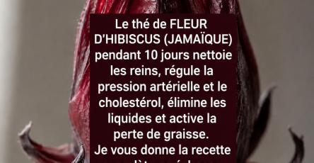 7C03E111 B3CC 44C1 A3EE 712FD3957E4A