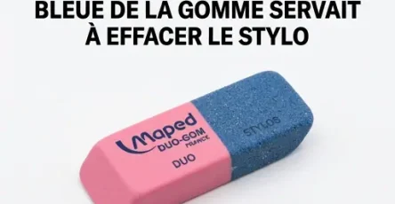 Alors a quoi sert exactement la partie bleue de la gomme 1.jpg
