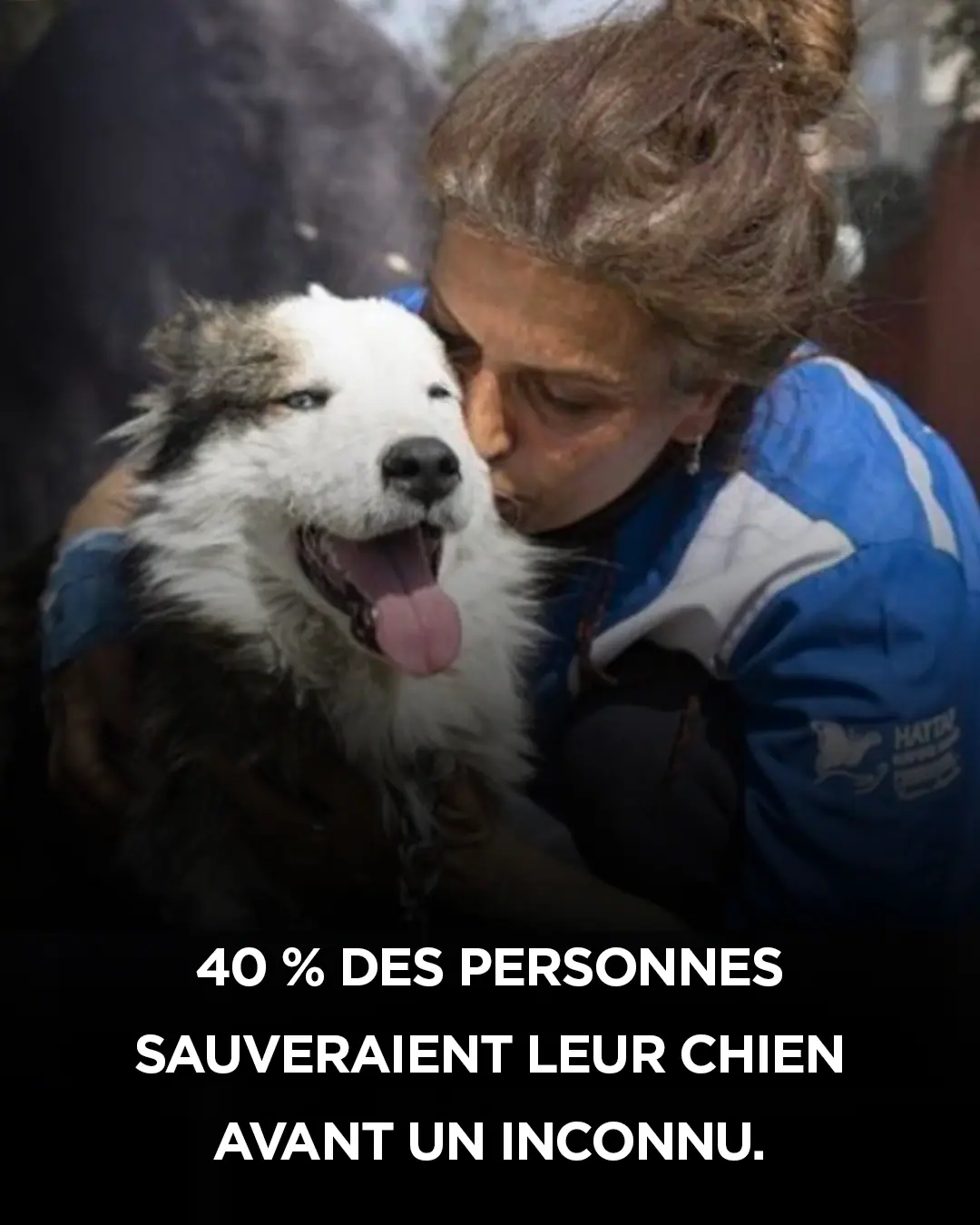 Etude 40 percent des personnes interrogees prefereraient sauver leur chien plutot quun inconnu.jpg