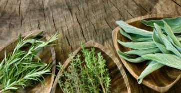Herbes aromatiques 400x220