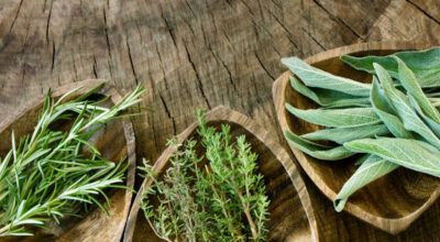 Herbes aromatiques 400x220