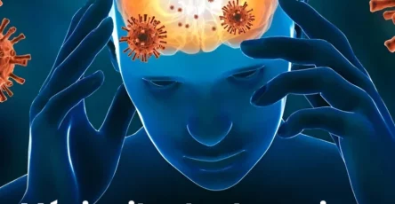 Meningite tout savoir sur cette infection mortelle en forte augmentation en france 819x1024.jpg