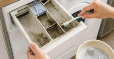 Votre linge sent le moisi meme a 60degc cest ce compartiment du lave linge et non le tambour que vous devez nettoyer 400x220