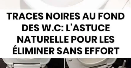 Comment eliminer les traces noires sur les toilettes 1.jpg