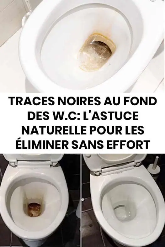 Comment eliminer les traces noires sur les toilettes 1.jpg
