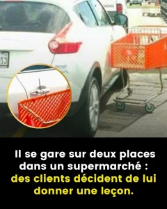 Mal gare sur le parking dun supermarche un automobiliste retrouve sa voiture attachee a un caddie.jpg