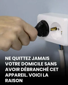 Ne quittez jamais votre domicile sans avoir debranche cet appareil voici la raison 1.jpg