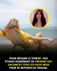 Pour reduire le stress des etudes suggerent de prendre des vacances tous les deux mois pour se reposer du travail.jpg