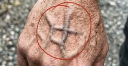 Si vos veines sont visibles en voici la signification 4.jpg