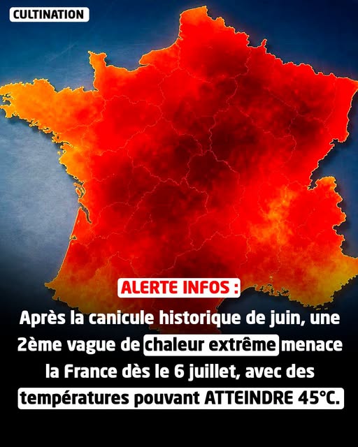 1ed3aa49 e8e8 4851 938f de8148f00afa