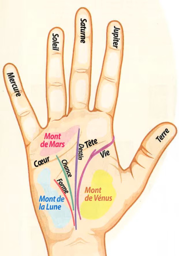 Image (2)